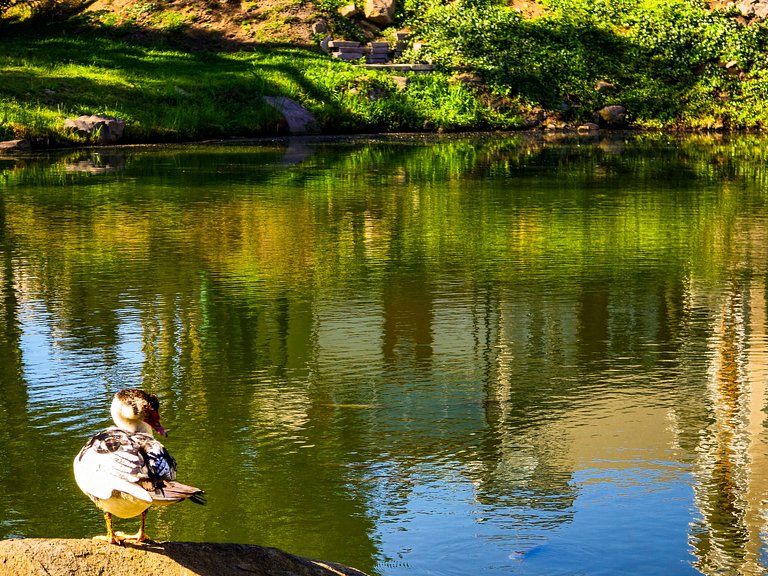 Duas suítes com piscina e requinte em Gramado
